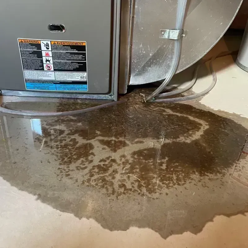 Appliance Leak Cleanup in Crockett, CA